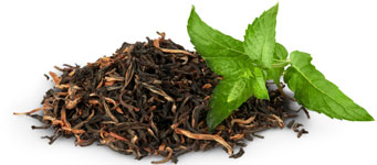 Ingredients-10-tea-tree