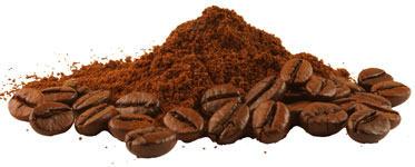 ingredients-01-kopi-madadlab---kopi