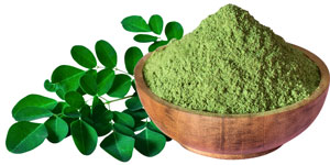 ingredients-03-kopi-madadlab-moringa