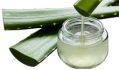 Ingredients-08-aloevera